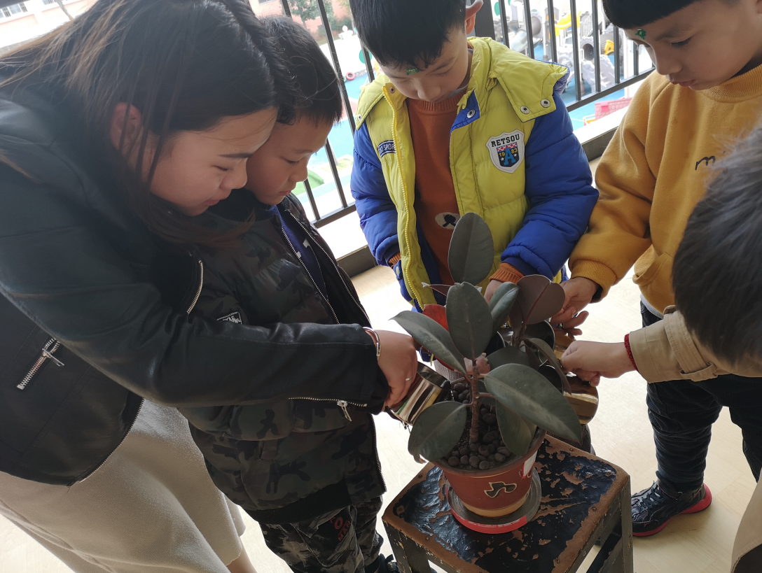 1552380289844046071.png QQ截图20190312163345.png