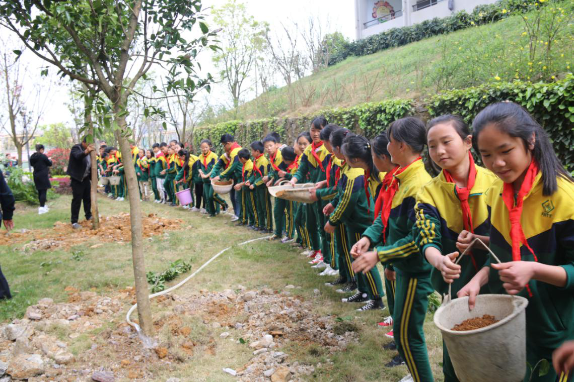 1552382628016015112.png 图片2.png