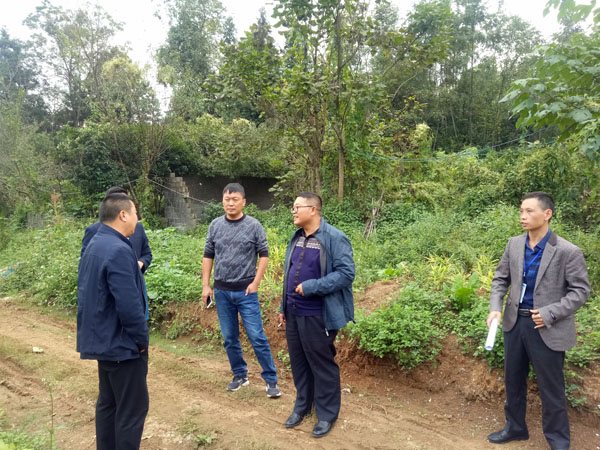 沙鹏副局长现场听取汇报.jpg