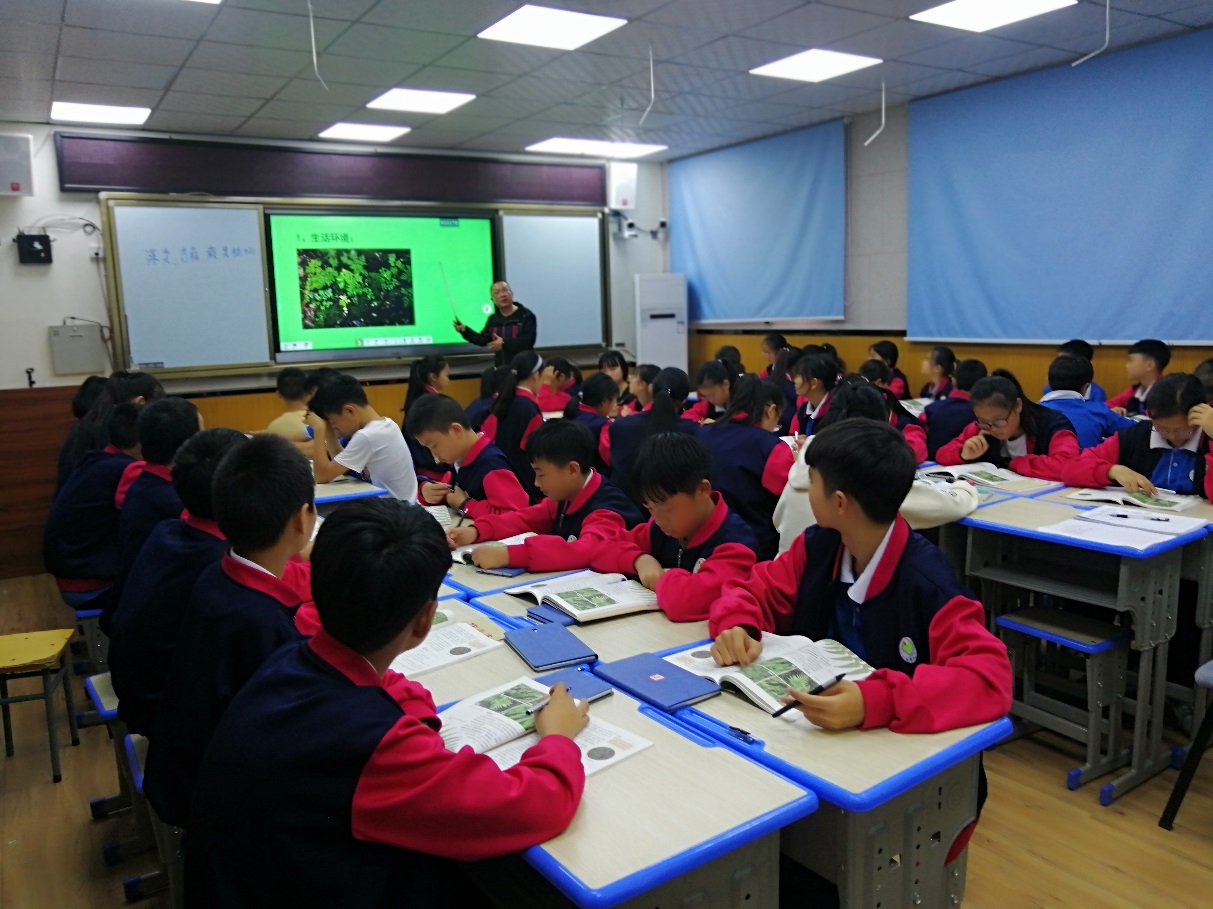 图片3.jpg