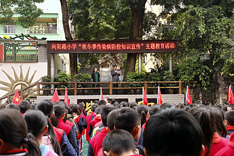 向阳.jpg