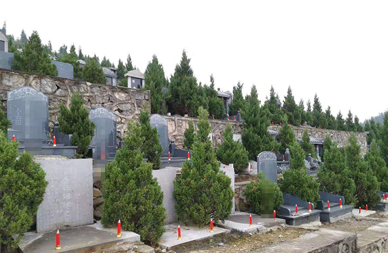 1580872376056092587.jpg 微信图片_20200204092118.jpg