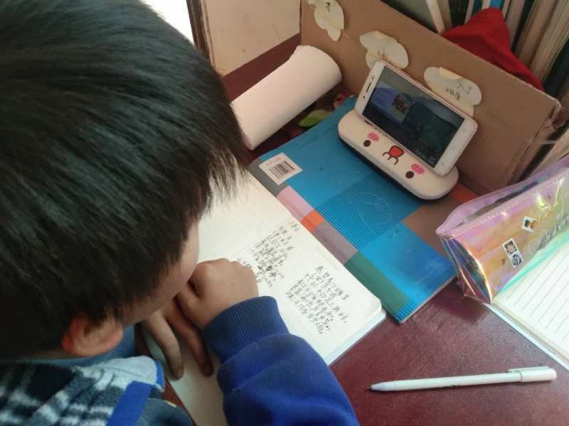 1582893867042079928.jpg 《仓更镇的孩子“停课不停学”在家学习》摄影:苏培 张军.jpg