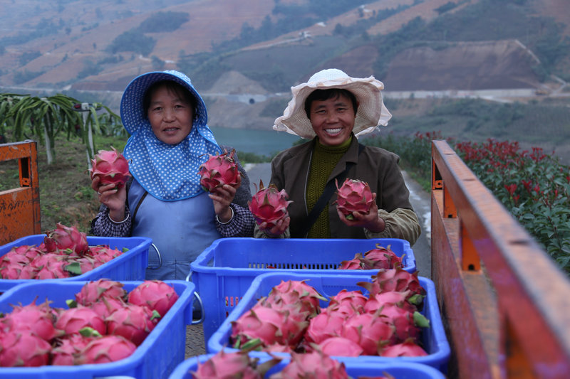 1593330822559030868.jpg 图6.路通了,产业发展了,人民笑了(毛如远-摄).jpg