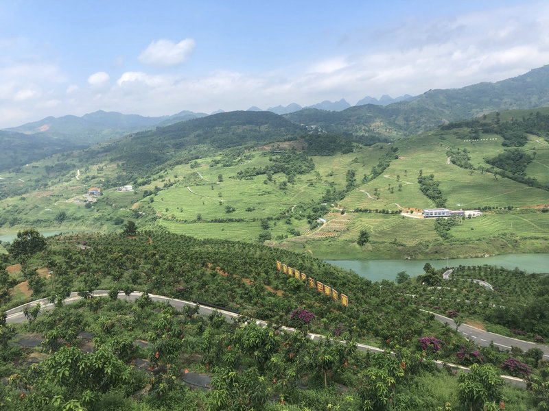 1593330987158088691.jpg 图2.国道354线公路带动“一江三果”产业带(雷文兴摄).jpg