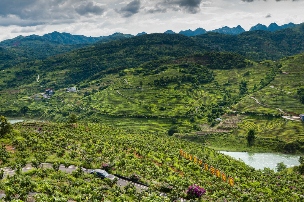 图4.贫困山区的脱贫宝贝：百香果脱贫，金芒果致富，老百姓的生活就像火龙果一样红红火火。   雷文兴 摄_副本.jpg