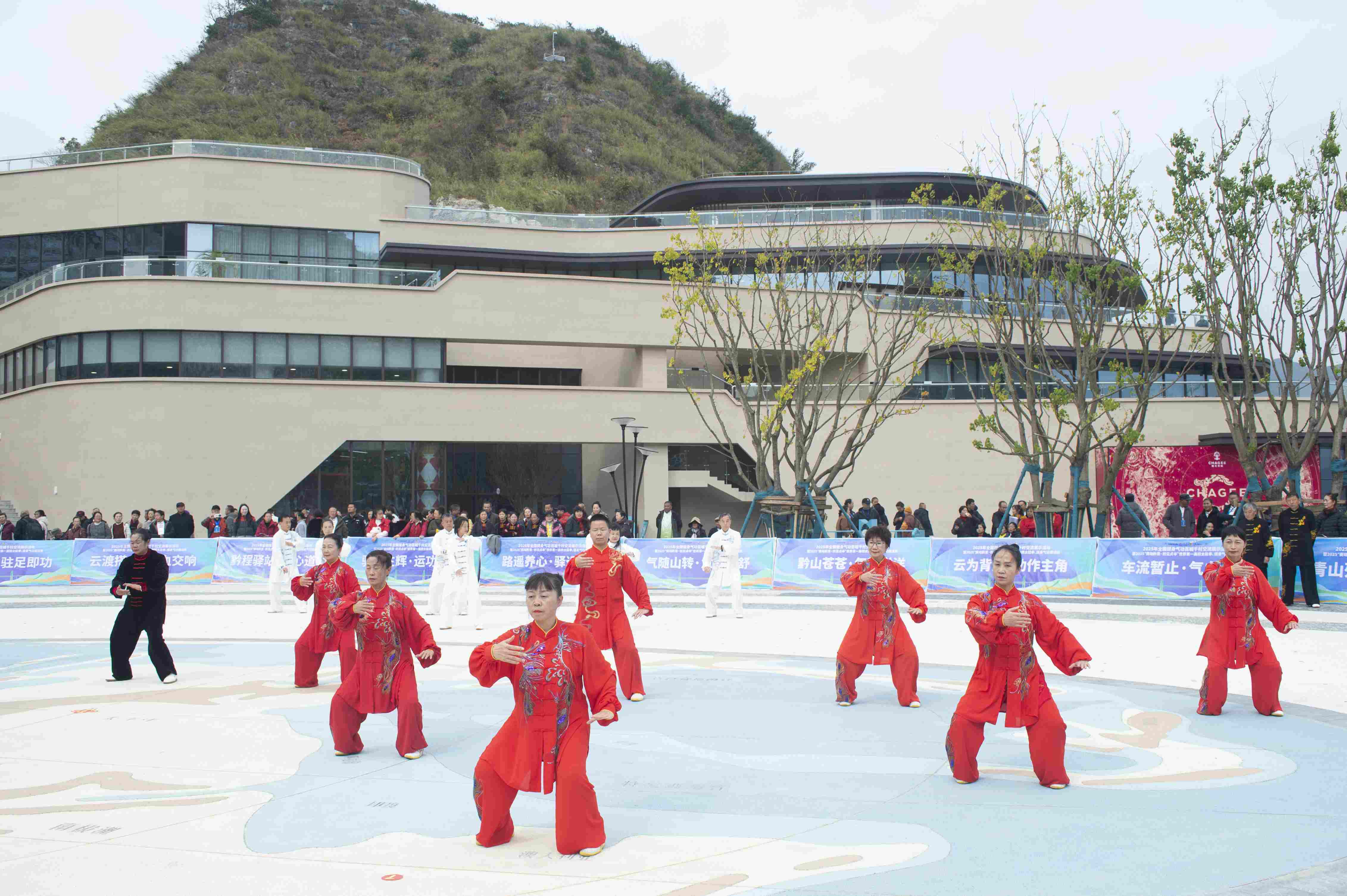 1765775673328065227.jpg _YXQ0859.jpg