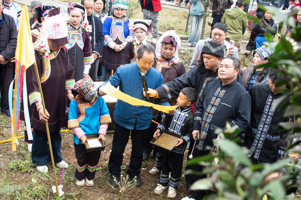 1774269434293014968.jpg _YXQ2251.jpg