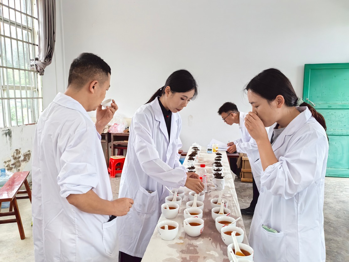 册亨茶叶培训（摄影：印象黔西南） (9).jpg
